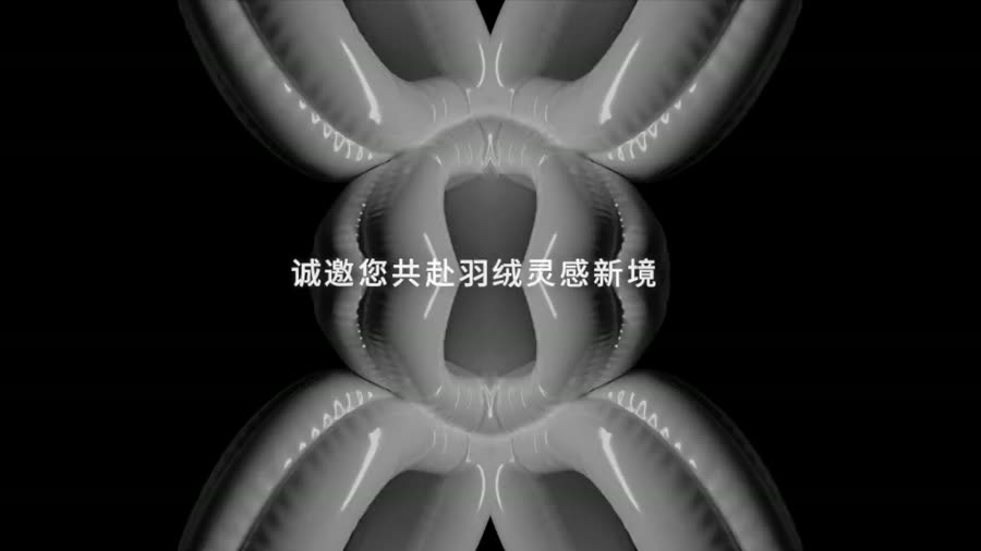 太平鸟 · 羽绒服品牌片